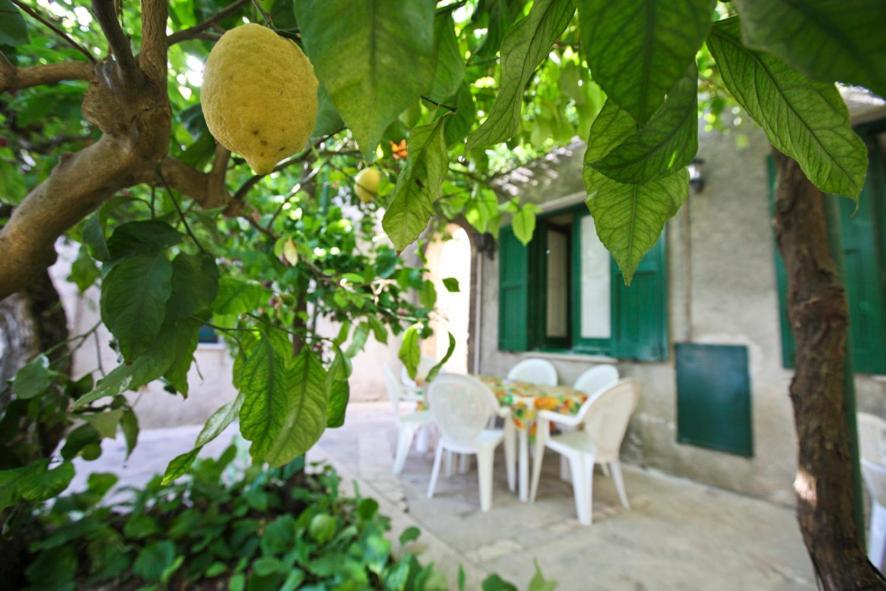 Leo Appartamenti Con Vista Panoramica Erice Extérieur photo